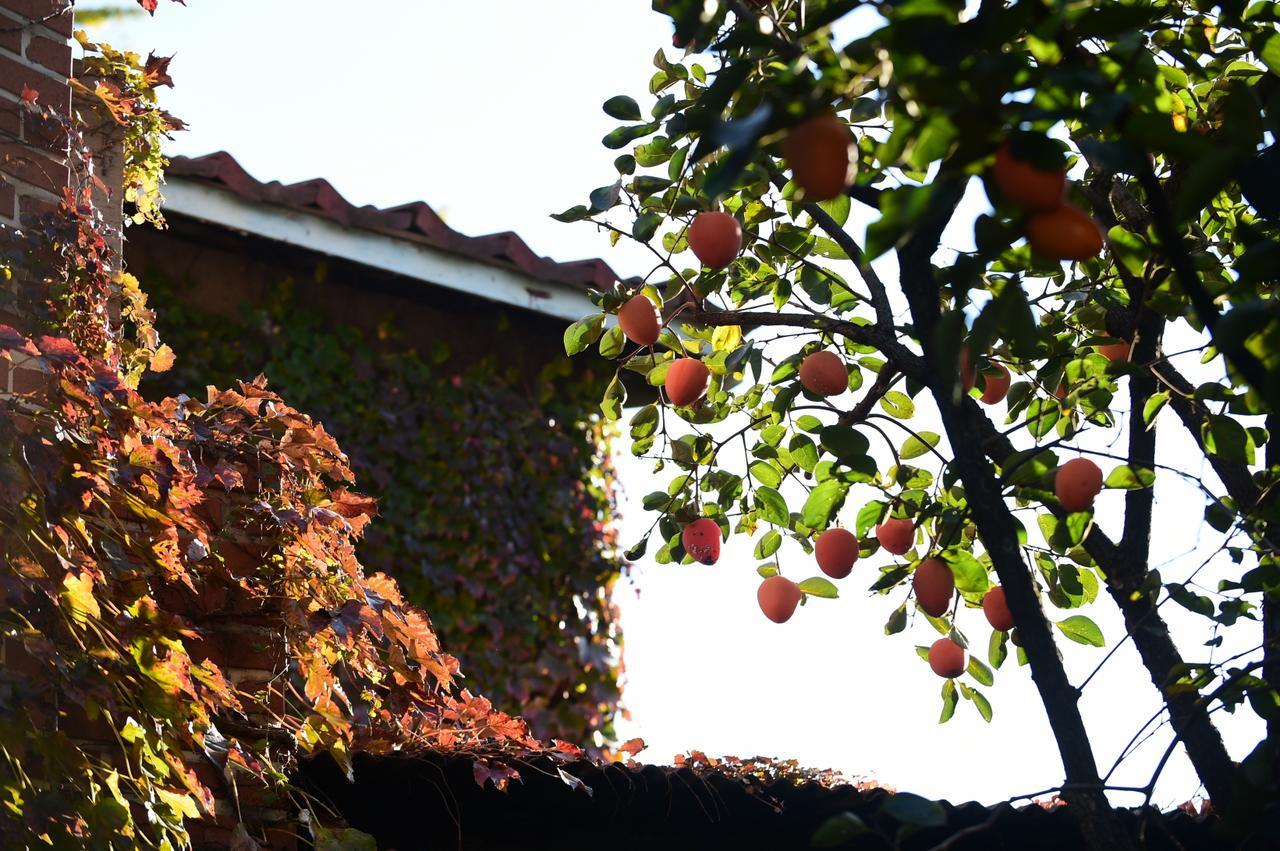 Photo Park Guesthouse Seoul Exterior foto